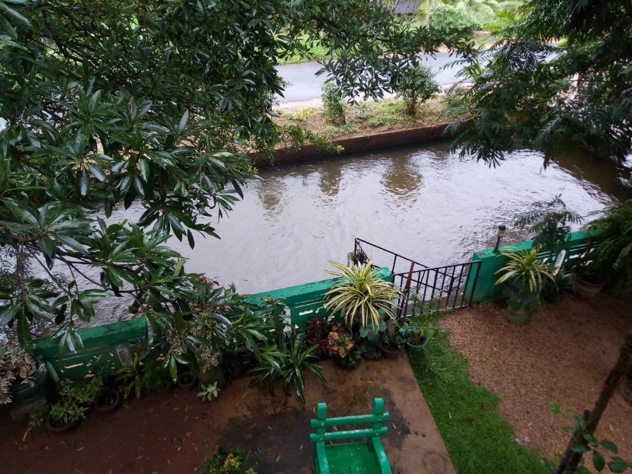 Green Garden Homestay Giritale Buitenkant foto